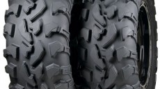 Polaris RZR Tires