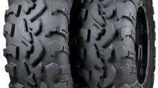 Polaris RZR Tires